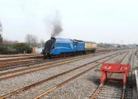 4464 <I>Bittern</I> passing through Swindon on 22 March on its way to a Severn Valley Railway gala. (The blue looked very nice in chocolate and cream territory!)<br><br>[Peter Todd 22/03/2012]