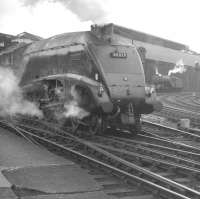 A4 Pacific no 60019 <I>'Bittern'</I> leaves Newcastle Central with a train in the 1960s bound for London Kings Cross.<br><br>[K A Gray //]