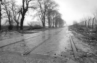 An abandoned section of old Renfrew Road, complete with tram rails, photographed looking east in February 1990. The road and tramway were rerouted further south during construction of the King George V Dock.<br><br>[Bill Roberton 24/02/1970]