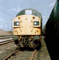 A split-headcode class 40 at Kingmoor around 1982.<br><br>[Colin Alexander //1982]