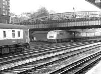 A 'Western' class diesel-hydraulic with a Penzance train passing Royal Oak on the approach to Paddington station in September 1969.<br><br>[John Furnevel 20/09/1969]