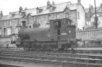 Beattie 2-4-0 Well Tank no 30586 in the shed sidings at Wadebridge in August 1961.<br><br>[K A Gray 18/08/1961]