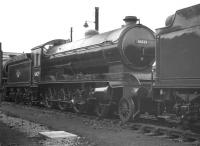 Immaculate looking B16 4-6-0 no 61429 standing in the sidings at Darlington shed in May 1960. <br><br>[K A Gray 07/05/1960]