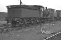 A further shot of J21 0-6-0 no 65099 with D2053 in the works reception sidings at Darlington shed in late 1961  [see image 41693]. The lengthy period between the J21's withdrawal from Tyne Dock in October 1961 and cutting up at Darlington in February 1966 was due to the locomotive having been initially earmarked for preservation. Unfortunately further examination within the works led to a rethink and the J21 example finally chosen for preservation was 65033.<br><br>[K A Gray //1961]