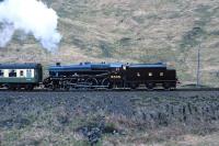 Black 5 No. 5305 accelerates 'The West Highlander' up the grade away from Glenfinnan viaduct on the return from Mallaig to Fort William in May 1987. (The name was changed to 'The Lochaber' in 1990 before settling on 'The Jacobite' at privatisation.) [With thanks to David Pesterfield]<br><br>[Bill Jamieson 21/05/1987]