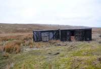 In active service, as sheep shelters, some 60 years or so after withdrawal. At 1650ft, by the road from St Johns Chapel in Weardale to Langdon Beck in Teesdale, northern Pennines, March 2013.<br><br>[Brian Taylor 03/03/2013]