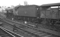 A3 Pacific no 60088 <I>Book Law</I> is relegated to cattle train haulage in this scene on the goods lines alongside Newcastle Central station in the early 1960s. 60088 was withdrawn from Gateshead shed in October 1963.<br><br>[K A Gray //]