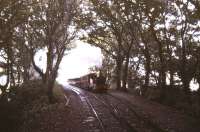 Coming through the woods near Castletown, Isle of Man, in the summer of 1987. <br><br>[Ian Dinmore /08/1987]
