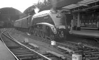 Haymarket corridor-tender A4 no 60031 <I>Golden Plover</I> carrying the headboard of <I>The Elizabethan</I> appears to have come to (almost?) a halt at Newcastle Central on 1 July 1961. <br><br>[K A Gray 01/07/1961]