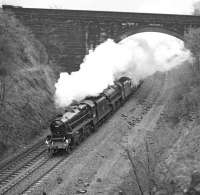 LNER Society Railtours<I>The South Yorkshireman</I>tour of 29th April 1978 forges through Newlay cutting on the west side of Leeds. The special, which originated at London Euston, was powered by Black 5s 45407 and 44932 between York and Carnforth. The magnificent brick arch with squared stone spandrels and wingwalls clears the formerly four-track Midland main line in one leap but carries no more than the access track into the former Rodley sewage works (now a nature reserve). <br><br>[Bill Jamieson 29/04/1978]