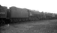 A condemned steam locomotive lineup awaiting the torch at Darlington on 26 October 1963, including one of the large ex-WD 2-10-0s no 90767. Withdrawn from Motherwell shed at the end of 1962, the locomotive was cut up in the nearby works scrapyard around 6 weeks after the photograph was taken. <br><br>[K A Gray 26/10/1963]