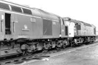 D224 <I>Lucania</I> and D5229 standing in the yard outside Carlisle diesel depot in April 1971. The type 4 shows signs of collision damage.<br><br>[John Furnevel 02/04/1971]