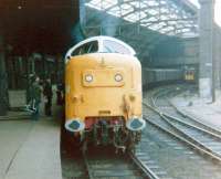 Deltic 55003 <I>Meld</I>, plus one or two admirers, at Newcastle Central in April 1979.<br><br>[Colin Alexander /04/1979]