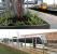 Train and tram at Edinburgh Park station on 2 April 2014. The station planters here have been adopted by the Rotary Club of Edinburgh.<br><br>[John Yellowlees 02/04/2014]