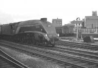 A4 60025 <I>Falcon</I> at Doncaster on 8 September 1962 with the 10.35am Newcastle Central - London Kings Cross.<br><br>[K A Gray 08/9/1962]