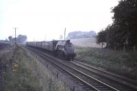 A4 60024 <I>Kingfisher</I> photographed near Cumbernauld on 3 August 1965 with the 5.30pm Glasgow Buchanan Street - Aberdeen express. <br><br>[G W Robin 03/08/1965]