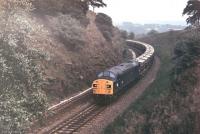 Split-headcode EE Type 4 40142 brings a rake of westbound <I>Presflo</I> hoppers from the Hope Valley line through the cutting immediately east of Chinley North Junction in 1978.  <br><br>[Mark Bartlett //1978]
