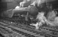 An undated photograph showing A3 Pacific no 60098 <I>Spion Kop</I> with a train at Newcastle Central. 60098 received its double chimney at Doncaster Works in mid 1959 and was withdrawn from St Margarets shed in October 1963.<br><br>[K A Gray //]