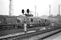 Photograph taken from the adjacent platform of Bristol Temple Meads station on 14 March 1970, showing blue liveried NBL diesel-hydraulic D6327 and green classmate D6348 on Bristol Bath Road MPD. To the left is EE 350hp shunter D3990, with an unidentified Hymek lurking in the background.<br><br>[Bill Jamieson 14/03/1970]
