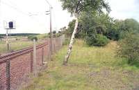 View north at Silvermuir South Junction in 2000. The Glasgow fork is to the left and the trackbed of the Edinburgh fork to the right. [Ref query 8859]<br><br>[Ewan Crawford //2000]