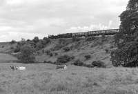 The cow seems to be taking more interest in the photographer than the unusual combination of Nos. 790 <I>Hardwicke</I> and 92220 <I>Evening Star</I>. The train is the LNER Society <I>Gresley Centenarian</I> of 19 June 1976 passing Castley, just north of Wharfedale Viaduct, on the Leeds - Harrogate line. [Ref query 7616].<br><br>[Bill Jamieson 19/06/1976]