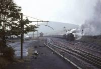 A pair of Black 5s, led by no 45359, held in the up loop at Abington on a wet and windy 30 July 1966 with a lengthy train of empty stock.  <br><br>[John Robin 30/07/1966]