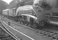 A4 60007 <I>Sir Nigel Gresley</I> with a train at Newcastle Central in 1963.<br><br>[K A Gray //1963]