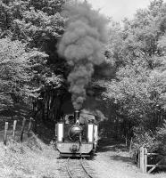 When expertly handled, oil-firing should be virtually smoke-free, but fortunately for the photographer this is not always the case! No. 9 <I>Prince of Wales</I> clags its way out of the woods high above the River Rheidol near Rhiwfron Halt with the morning Aberystwyth - Devil's Bridge working on 29th May 1984.<br><br>[Bill Jamieson 29/05/1984]