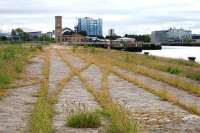 Looking along the former Yorkhill Quay towards the SECC from near the Riverside Museum on 22nd June 2015. The course of the rails and pointwork from the former Stobcross branch sidings is shown by the weeds growing in the rails.<br><br>[Colin McDonald 22/06/2015]