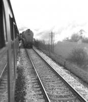 View from 'Scottish Rambler No 3' on 30 March 1964, on the leg from Dunfermline Lower to Denny via Alloa Swing Bridge. The special is about to pass A4 60031 <I>Golden Plover</I> with a Glasgow Buchanan Street - Aberdeen train just south of Alloa Junction.<br><br>[John Robin 30/03/1964]