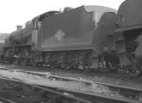 Locomotives stabled for the weekend in the shed yard at Tonbridge (73J) on Sunday 20 August 1961. Centre stage is Maunsell N1 2-6-0 no 31877.<br><br>[K A Gray 20/08/1961]