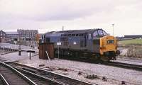 37187 at the west end of Swindon station on the 6th of October 1982 with part of the GWR Works in the background. The locomotive was later renumbered 37683 and ended its days with Direct Rail Services before being scrapped as late as 2013. <br><br>[Peter Todd 06/10/1982]