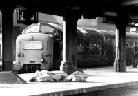 The uncompromisingly determined looking face of a Deltic shows up well in this cross platform view at Newcastle Central in 1972. Train 1S16 is the 0800 Kings Cross - Edinburgh Waverley and the locomotive is 9010 <I>King's Own Scottish Borderer</I>. Following a crew change the outgoing team is about to exit stage right.<br><br>[John Furnevel 01/02/1972]