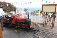 Beer Heights Light Railway 0-4-0ST (with tender) No.4 <I>Thomas II</I> is turned at the Much Natter terminus, on the hillside high above Beer Village, Devon, and the English Channel.<br><br>[Mark Bartlett 01/08/2015]
