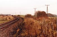 Fairlie Junction looking east, 17 November, 1985. The hut visible was in the vee of the junction and taller tree/bush on the right is on the Fairlie Branch trackbed.<br><br>[Robert Blane 17/11/1985]