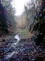 This is taken through the northern portal of Mierystock (aka Mireystock) tunnel [see image 26107].<br>
The cutting was later filled in with spoil but then dug out again by a local group in about 2006 - the group is still awaiting funds from the local council to move the cycle track from a crossing of the A4136 into the tunnel.<br><br>[John Thorn /04/1968]