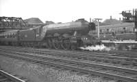 Gresley A3 Pacific 60077 <I>The White Knight</I>, smartly turned out by Copley Hill shed, stands at Doncaster on 28 July 1961 at the head of a Leeds Central - Kings Cross train.<br><br>[K A Gray 28/07/1961]