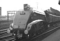 Leaving the east end of Newcastle Central in 1960 is Gresley A4 Pacific no 600014 <I>Silver Link</I>. <br><br>[K A Gray //1960]