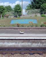 With commendable enthusiasm flowers were planted at Dumfries with the BR logo, word 'Sprinter' and logo to coincide with their introduction in 1989. The view is of the southbound platform.<br><br>[Ewan Crawford //1989]