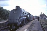 60024 <I>Kingfisher</I> waits for the photographer at Bridge of Dun in August 1965.<br><br>[John Robin 19/08/1965]