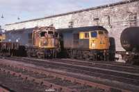 27033 shares company with 26015 at Perth following attempted self destruction.  The Class 27 was repaired and operated for almost another 7 years.  3rd March 1979.<br><br>[Graeme Blair 03/03/1979]