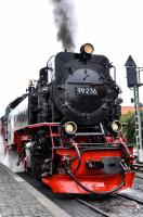 Harzer Schmalspur-bahnen 99 236 about to take the 10:25 train from Wernigerode to Brocken on 17 September 2017 - hard to tell that it is 1000 mm gauge rather than 1435 mm (4 ft 8.5 in) gauge)!<br><br>[Norman Glen 17/9/2017]