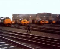 Eastfield Depot Open Day on 17th May 1986. A driech morning but an impressive line up of West Highland Scottie logo Class 37's, 27's and a Class 26 in Railfreight colours.<br><br>[Gordon Steel 17/05/1986]