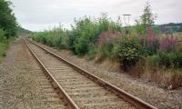 The view west from Pitmedden level crossing. A single lamp standard remained on the former eastbound platform in 1999. The platforms were in timber, so no longer exist.<br><br>[Ewan Crawford //1999]