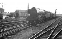 A3 Pacific 60065 <I>Knight of Thistle</I> arriving at Doncaster from the south on 1 September 1962 with a train for Edinburgh. For the full SP [See image 22899]<br><br>[K A Gray 01/09/1962]