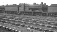 Freight locomotives in the yard at Mexborough in May 1961 include J11 0-6-0 64442. Built for the Great Central Railway at Gorton Works in 1908, the locomotive returned there for disposal after withdrawal from here in September 1962. [See image 50073] <br><br>[K A Gray 27/05/1961]