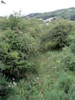 Theres track in them thar trees. Looking north up the Nantmawr Branch from Blodwell Junction.<br><br>[Ewan Crawford 10/07/2006]