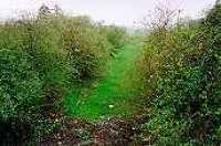 Looking west over the former Lochanhead station.<br><br>[Ewan Crawford //]