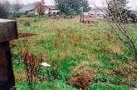 Looking east at the former station site in Castle Douglas.<br><br>[Ewan Crawford //]