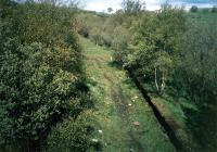 Looking east over the remains of Uplawmoor station.<br><br>[Ewan Crawford //1987]